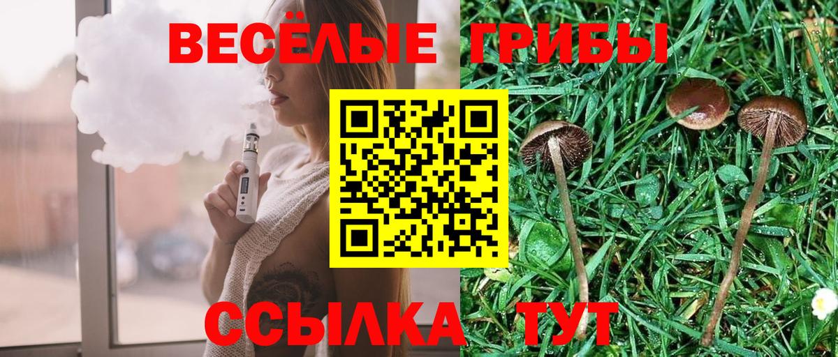 Псилоцибиновые грибы GOLDEN TEACHER Феодосия